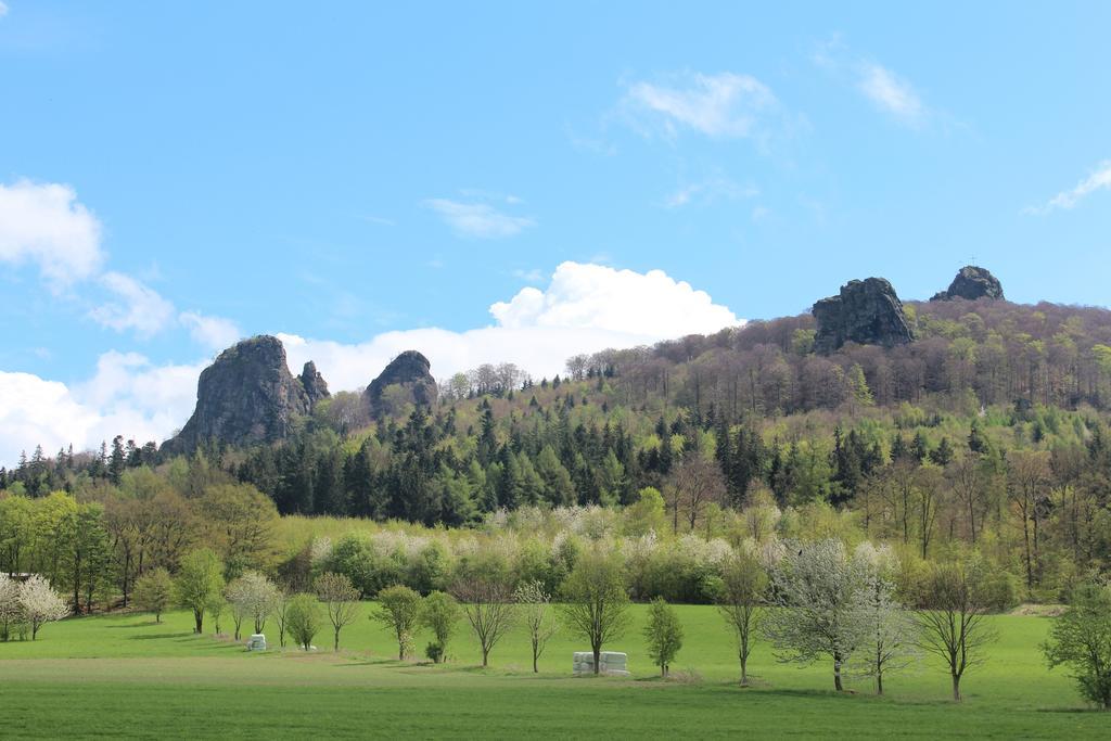 Ferienwohnung Moos-Hochsauerland Wiemeringhausen Bilik gambar