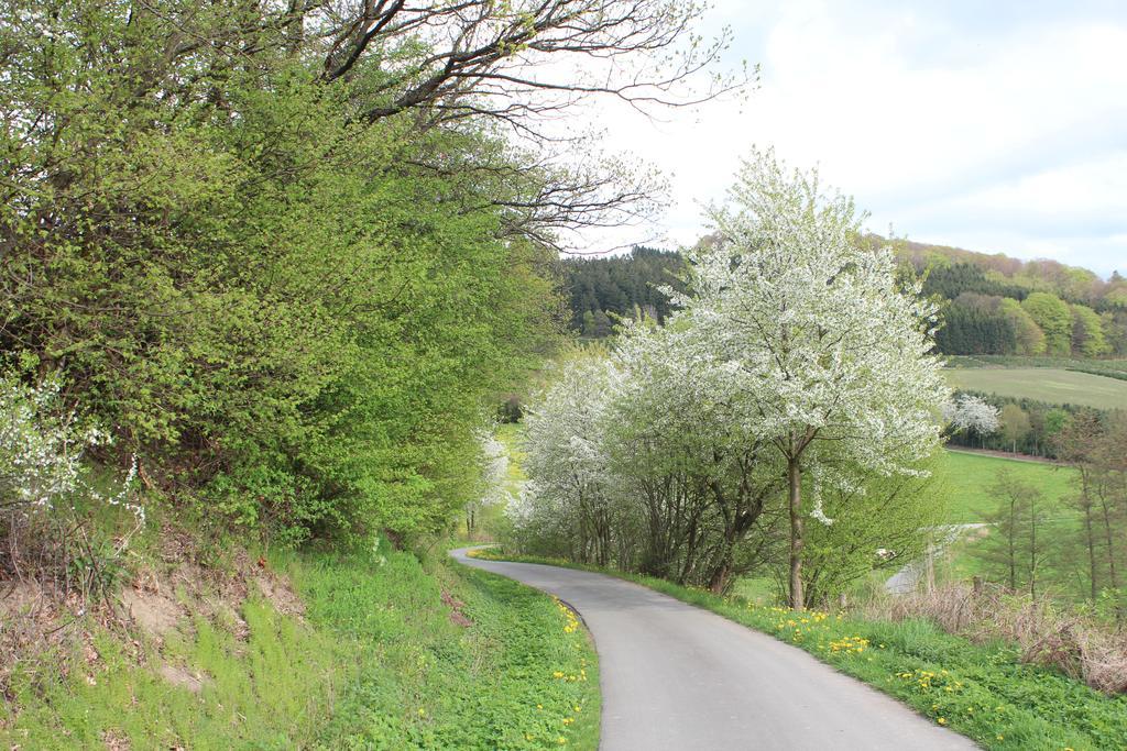 Ferienwohnung Moos-Hochsauerland Wiemeringhausen Bilik gambar